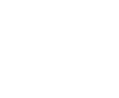 Buck Hill Falls logo