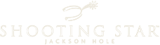 Shooting Star logo
