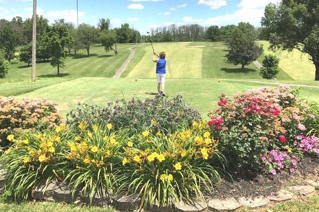 Cynthiana Country Club golf course