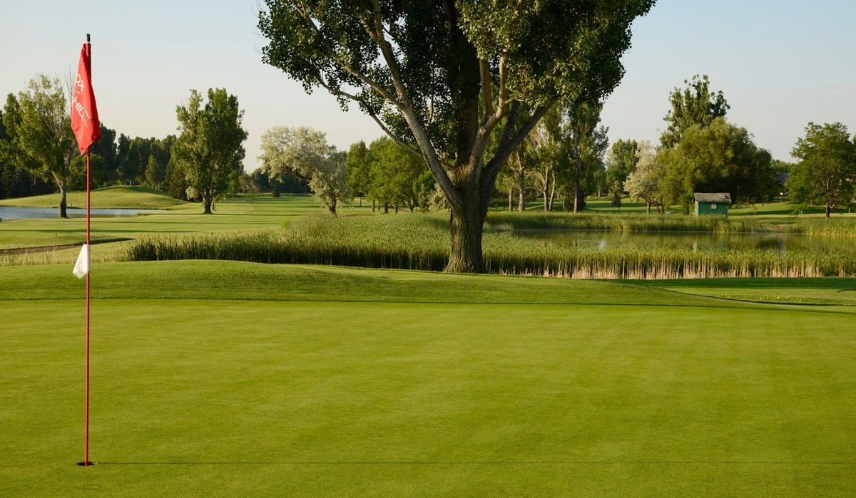 Fox Hill Club golf course