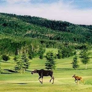 Grand Targhee Resort golf course