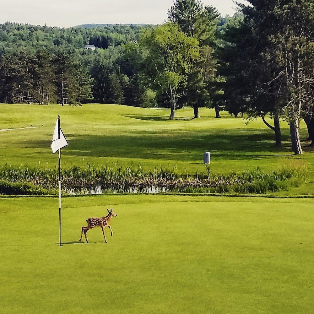 Stowe Country Club golf course