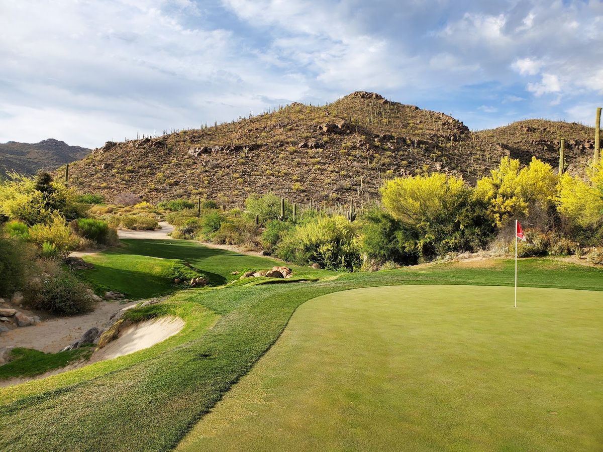 The Gallery Golf Club golf course